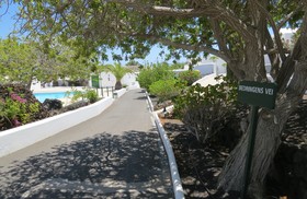 Casas Heddy