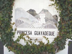 Princesa Guayadeque