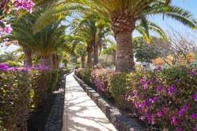 Hotel Relaxia Olivina