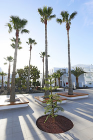 Sentido Aequora Lanzarote Suites