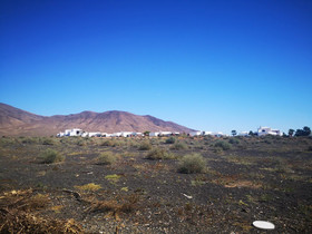 Lau Haizeta