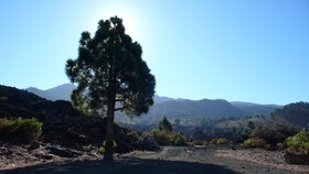 Casas Rurales Los Pajeros