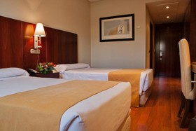 Gran Hotel Attica21 Las Rozas