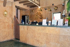 Caballero Errante