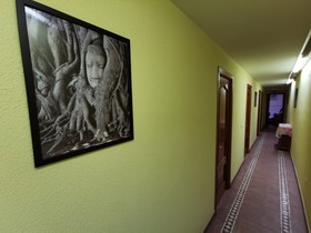 Huéspedes La Asturiana