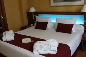 Catalonia Plaza España Hotel & Spa