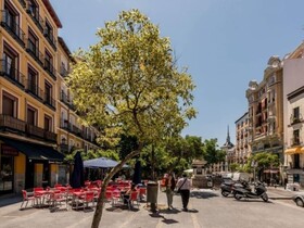 Cozy Apartment Plaza Mayor