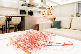 SmartRental Collection Centric II
