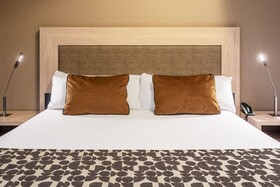 Hotel Catalonia Plaza Mayor