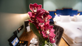 Hotel Soho Boutique Congreso