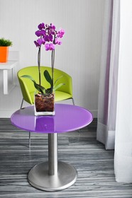 ibis Styles Madrid Prado