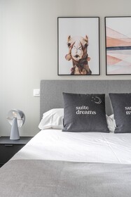 Limehome Madrid Calle Ave Maria