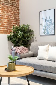 Limehome Madrid Calle Fomento