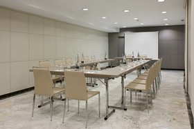 Avani Alonso Martínez Madrid Hotel