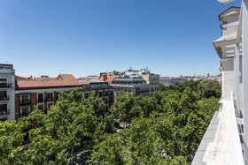 Petit Palace Lealtad