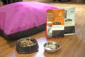 Petit Palace Plaza Mayor