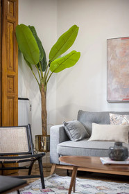 Quevedo by Alterhome