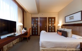 Sercotel Hotel Nuevo Madrid