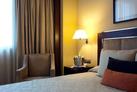 Sercotel Hotel Nuevo Madrid