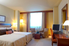 Sercotel Hotel Nuevo Madrid