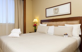 Sercotel Hotel Nuevo Madrid