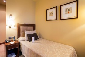 Sercotel Hotel Nuevo Madrid