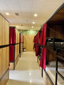 Velvet Hostels