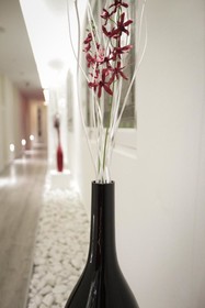 Vitium Urban Suites