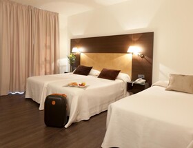 Hotel Madrid Torrejón Plaza