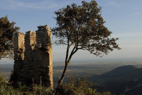 Alaró Natura Rural Suites