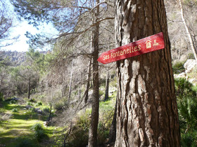 Finca Ses Fontanelles