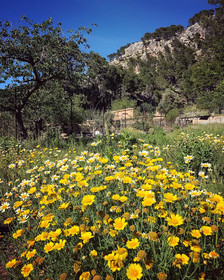 Finca Ses Fontanelles
