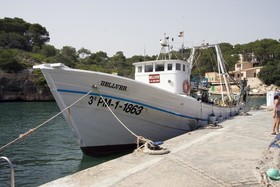 Llevant