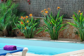 Villa Miguel Angel