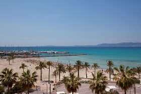 whala!beach