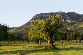 Sant Salvador Hostatgeria