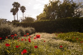 Aumallia Hotel & Spa