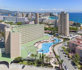 Sol Guadalupe