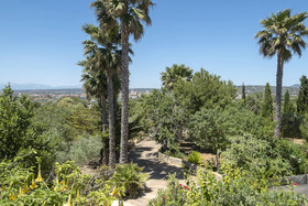 Finca Alegra