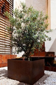 Brondo Architect Hotel