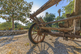 Historical Country House Villa Can Mir