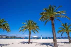 Econotel Las Palomas