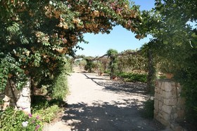 Finca Casa Maria
