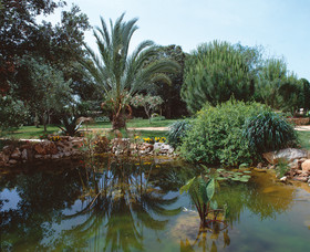 Finca Son Mercadal
