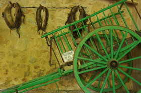 Finca Son Esteve