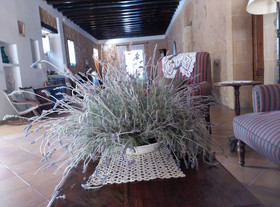 Finca Son Esteve