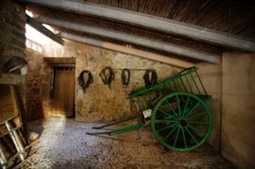 Finca Son Esteve