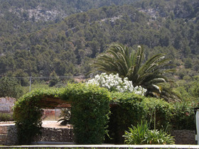 Finca Son Esteve