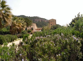 Finca Son Esteve