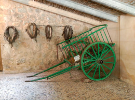 Finca Son Esteve